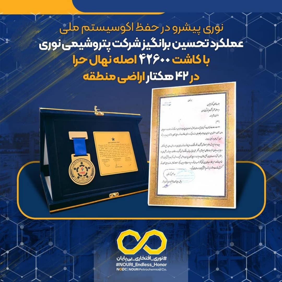 نوری پیشرو در حفظ اکوسیستم ملی عملکرد تحسین برانگیز شرکت پتروشیمی نوری با کاشت ۴۲۶۰۰ اصله نهال حرا در ۴۲ هکتار اراضی منطقه