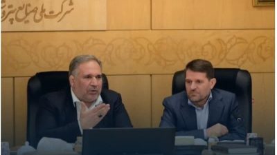 افزایش ظرفیت تولید و هدایت هدفمند اعتبار، نقشه راه مجلس برای تامین نیازهای صنایع تکمیلی
