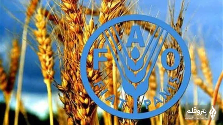 افزایش ۲ درصدی قیمت جهانی مواد غذایی در ماه اوت ۲۰۲۶