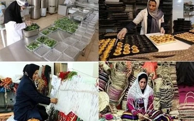 تسهیلات خرد؛ راهکار وزارت کار برای جلوگیری از مهاجرت روستایی