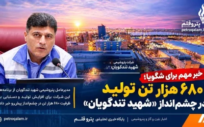 شگویا در مسیر افزایش تولید؛ هدف‌گذاری تولید ۶۸۰ هزار تن تا پایان ۱۴۰۵