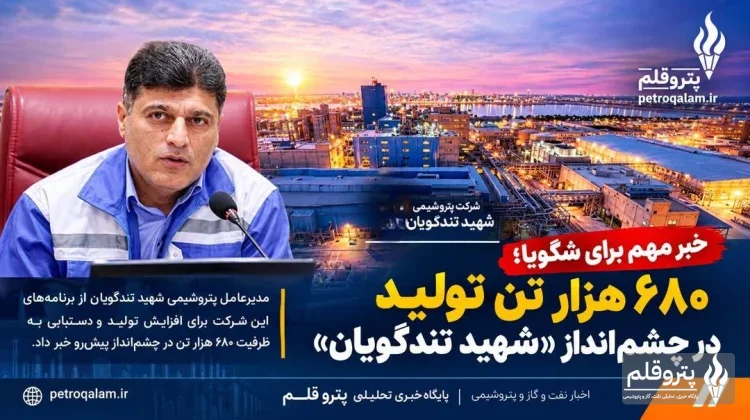 شگویا در مسیر افزایش تولید؛ هدف‌گذاری تولید ۶۸۰ هزار تن تا پایان ۱۴۰۵