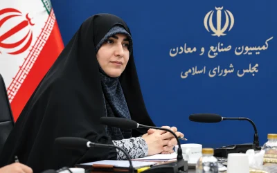 زینب قیصری سکاندار کمیته پتروشیمی مجلس شد