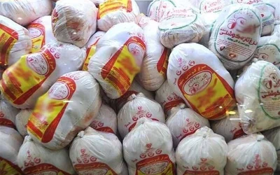 افزایش 30 هزار تن ذخیره استراتژیک مرغ؛ خرید حمایتی به‌منظور تقویت امنیت غذایی