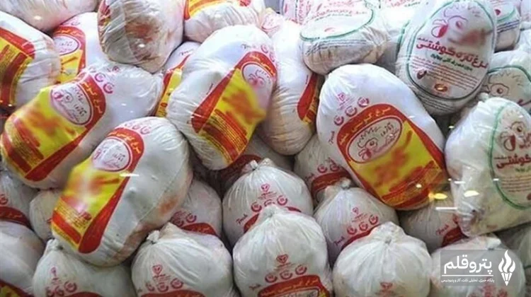 افزایش 30 هزار تن ذخیره استراتژیک مرغ؛ خرید حمایتی به‌منظور تقویت امنیت غذایی