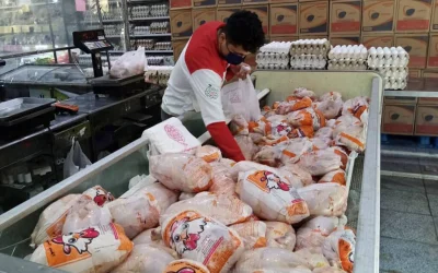 نرخ‌های جدید مرغ در بازار؛ قیمت‌های روز ۲۵ مهر ۱۴۰۵
