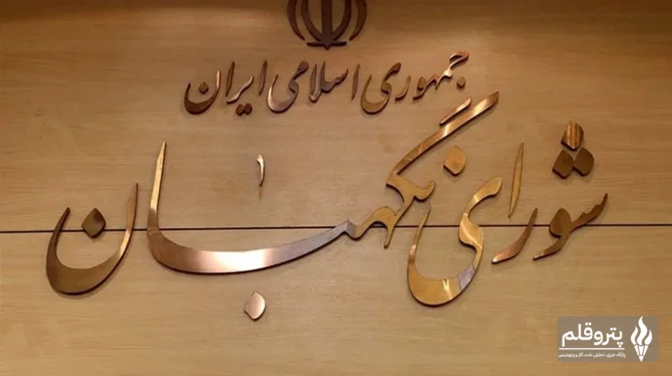 شورای نگهبان به انتشار اظهارات نادرست نماینده سابق واکنش داد